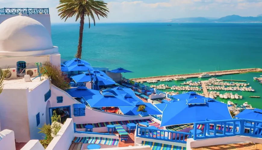 Private Day Trip Tunis Carthage Sidi Bou Said