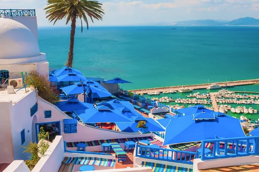 Excursion Privé d’une Journée Tunis Carthage Sidi Bou Saïd