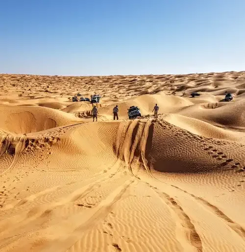 Coucher de soleil sur l’oasis du désert de Ksar Ghilane avec palmiers et dunes de sable