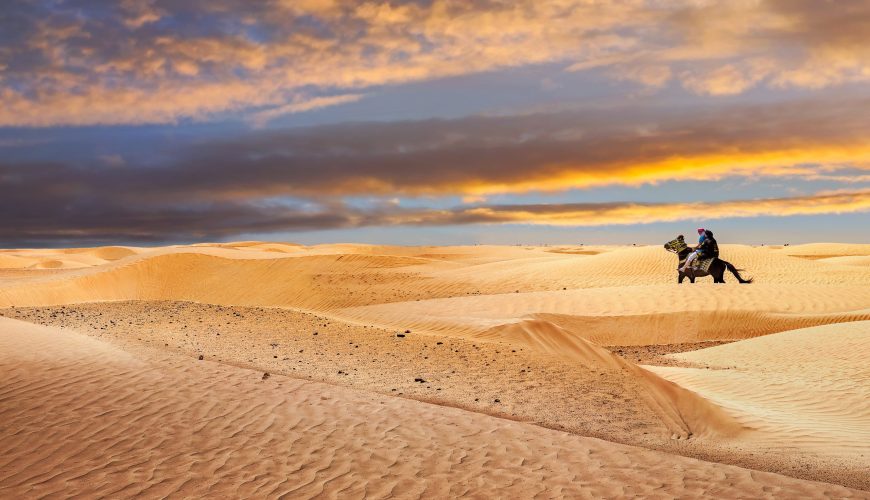 Excursion Privée de 3 Jours : Tozeur et Douz – Aventure dans le Sahara