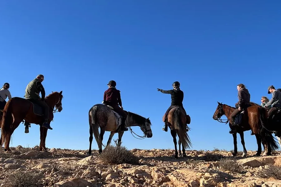 Sousse/Monastir : Excursion privée à cheval avec transfert