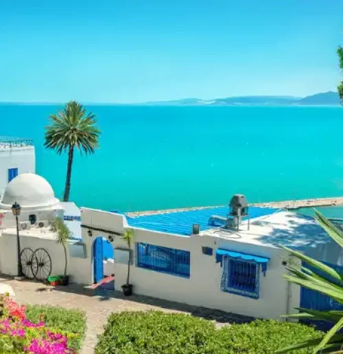 Maisons blanches et portes bleues typiques de Sidi Bou Saïd, Tunisie