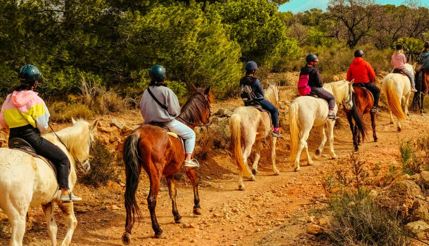 Excursion Privée à Cheval au Coeur de la Nature avec Transfert