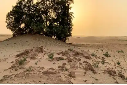 Évasion de 3 jours dans le désert du Sahara tunisien