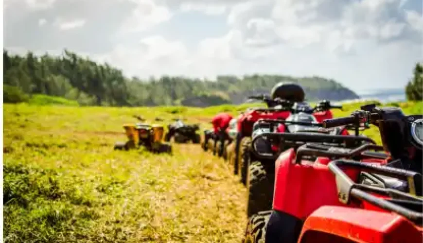 Riders enjoying an exciting quad biking adventure in the Tunisian desert