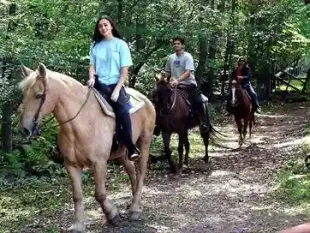 Aventure et nature en Tunisie : randonnées, excursions en 4x4 et activités de plein air