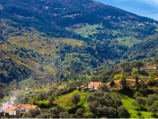 Scenic landscape of Ain Draham, Tunisia, with lush greenery and hills