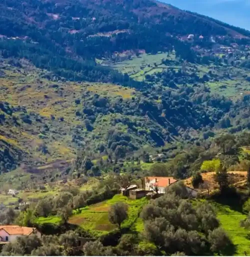 Vue panoramique d’Aïn Draham, une destination nature et montagne idéale pour une excursion en Tunisie