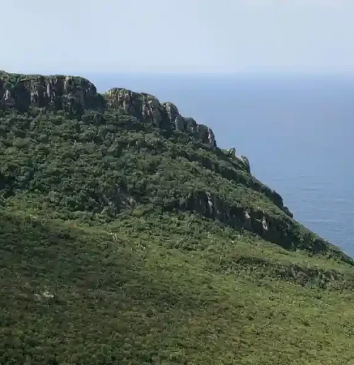 Scenic coastline and pine forests of Tabarka, Tunisia
