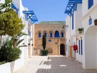 Scenic view of Hammamet’s white houses and turquoise sea, Tunisia