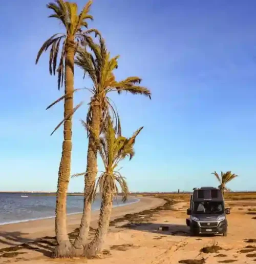 Vue panoramique des îles Kerkennah, une destination authentique pour une excursion en Tunisie
