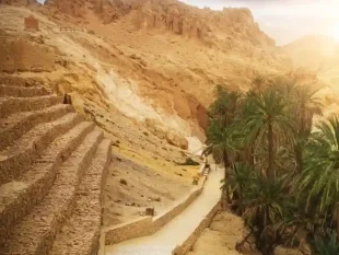 Oasis and palm groves of Tozeur, southern Tunisia