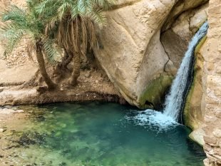 Ôthentic-travel-services-Tunisia-Tozeur-chebika-explore-water-beauty