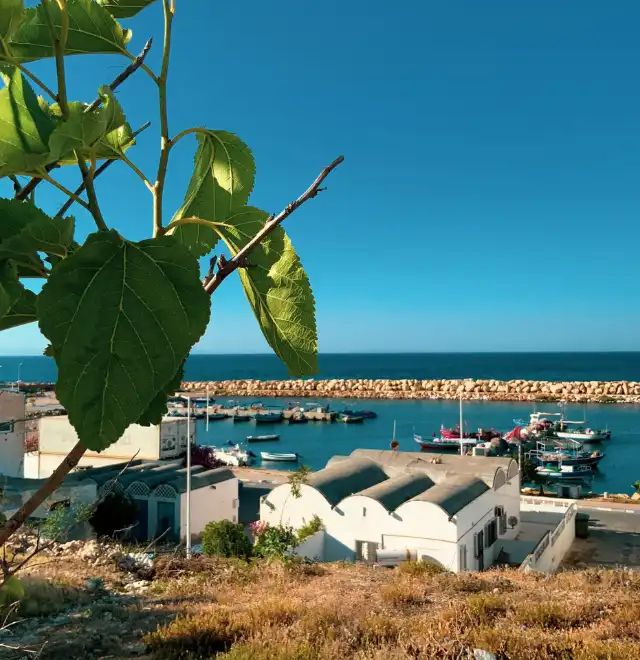 Ôthentic Travel & Services